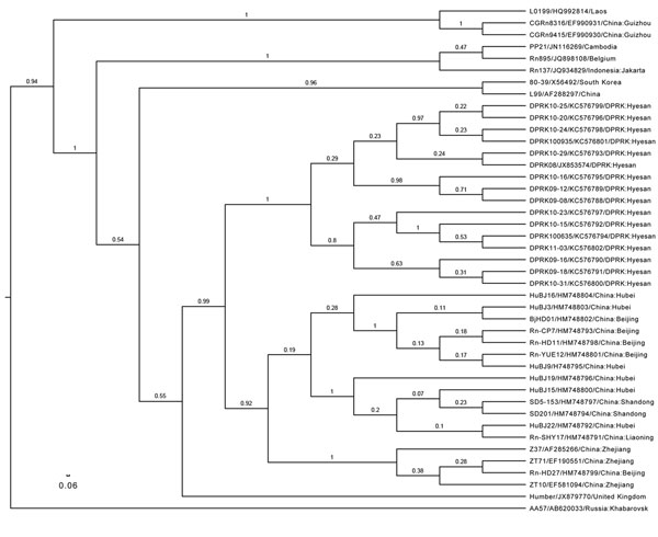 Phylogenetic tree, based on a 330-bp amplicon of the Seoul virus (SEOV) RNA-dependent RNA polymerase gene, depicted in FigTree1.4.0 (http://www.molecularevolution.org/software/phylogenetics/figtree). The tree was generated by using the uncorrelated lognormal distribution relaxed molecular clock model and SRD06 substitution model in BEAST1.74 (7). SEOV strain name/GenBank accession no/country: The location is shown in taxa. The posterior number is shown for each branch. Clades A and D were establ