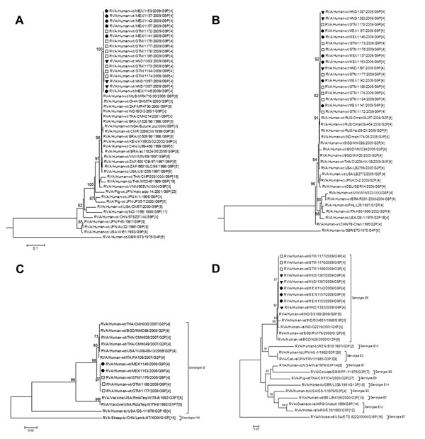 Maximum-likelihood phylograms indicating genetic relationships of nucleotide sequences of A) viral protein 7 (VP7), B) VP4, C) VP6, and D) nonstructural protein 4 (NSP4) genes of human G9P[4] group A rotavirus (RVA) strains from Mexico, Guatemala, and Honduras, and sequences of human and animal RVA strains from GenBank. Partial VP4 (VP8* region), VP7 and VP6 gene sequences (742, 783, and 1,155 bases, respectively) and complete gene sequences of NSP4 (528 bases) were aligned with cognate referenc