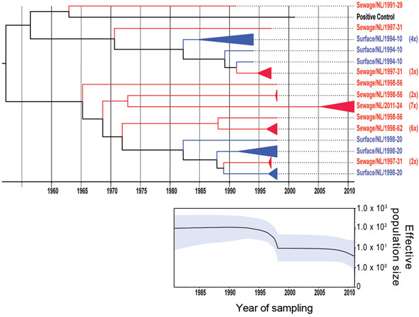 Phylogenetic relationships and genetic diversity over time for 37 sequences of Aichi virus genotype A strains collected in the Netherlands. A) Maximum-clade credibility tree was generated by the Bayesian Markov chain Monte Carlo method in BEAST (28), based on a multiple alignment of nucleotide sequences (481-nt) of the viral protein 1 region. The tree is rooted to the most recent common ancestor, visualized in FigTree (http://tree.bio.ed.ac.uk/software/figtree/), and plotted on a temporal y-axis