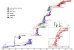 Thumbnail of Maximum clade credibility tree for regional influenza (H3N2) hemagglutinin data, generated by BEAST version 1.6.2 (26) under a constant population model; these are the same sequences as shown on Figure 1, except 2 sequences from Vietnam were removed because of missing sampling dates (n = 785 sequences). Inset on the bottom right shows a magnification of the tree for the 2007–2008 Vietnam sequences, to highlight persistence during this time. The smaller inset above shows coalescent (