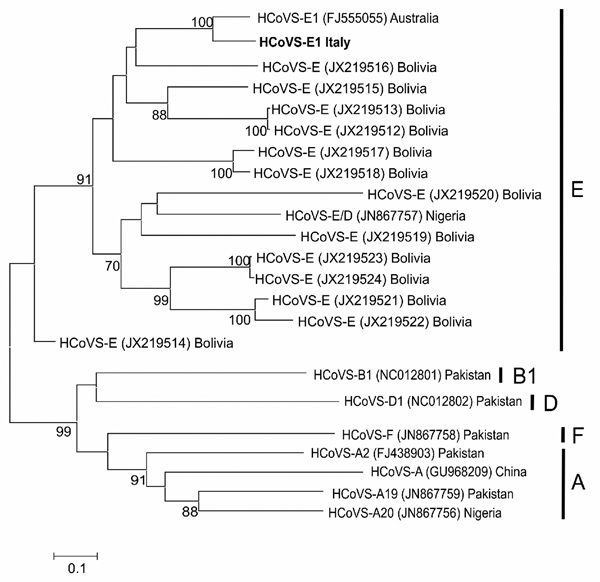 Maximum-likelihood tree based on viral protein (VP) 3–VP1 sequences. Bootstrap values were set for 1,000 repetitions and were placed over each main node of the tree. Bootstrap values &lt;70% are not shown. The strain from the lung transplant recipient with chronic diarrhea, in Italy, is indicated in boldface. Reference strains from GenBank, and their accession numbers, are shown. Letters in the right-hand column indicate virus species. Scale bar indicates nucleotide substitutions per site. HCoVS