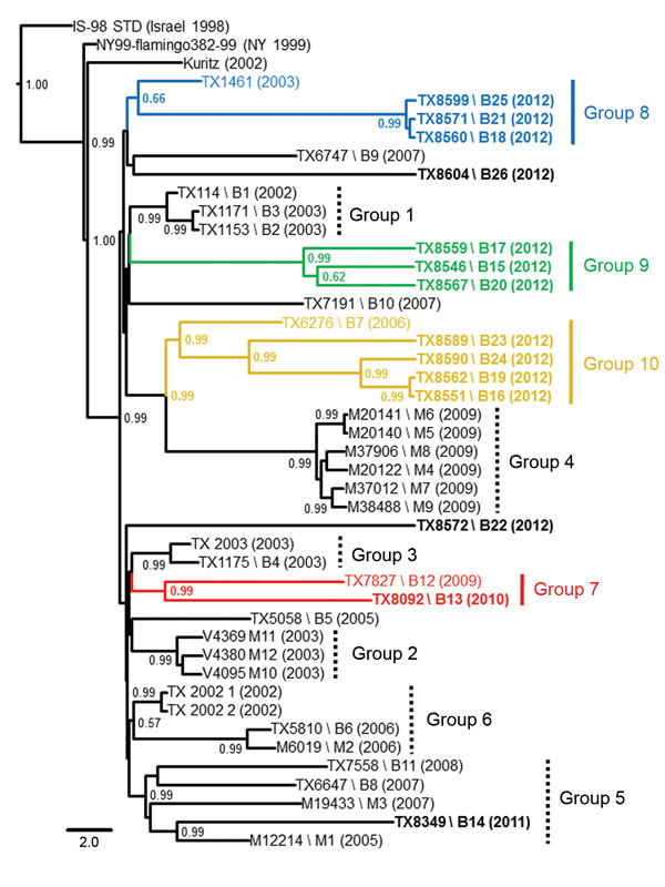Bayesian-inferred, 50% majority-rule, coalescent phylogenetic tree of published, full-length West Nile virus isolates, Harris County, Texas, USA, 2002–2012. Novel 2010–2012 Harris County isolates cluster into 4 distinct monophyletic groups designated group 7 (red), group 8 (blue), group 9 (green), and group 10 (yellow). Strain names link geographic map code (e.g., B1, B2, M1, M2) with year of collection annotated in parentheses. Isolates sequenced in this study are indicated in boldface. Posteri