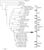 Thumbnail of Phylogenetic tree (neighbor-joining analysis with maximum composite likelihood method) of Tula virus on the basis of small segment partial sequences (nt 428–758), Ostrava, Czech Republic, October 2012 GenBank accession numbers: Haantaan virus (NC_005218), Puumala virus (NC_005224), Prospect Hill virus (Z49098), Isla Vista virus (U19302), Karatal322 (AM945877), Taldykorgan343 (AM945879), Karatal340 (AM945878), Omsk23 (AF442621), Tula76 (Z30941), Tula53 (Z30942), Tula175 (Z30943), Lod