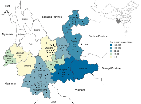 Distribution of rabies cases, 2000–2012, and clades of rabies virus isolates, 2008–2012, Yunnan Province, China. Shown are the 16 prefectures in Yunnan Province. Black stars indicate 52 specimens collected in the present study. White stars indicate specimens obtained before the present study. YN-A, YN-B, and YN-C indicate clades identified in different prefectures.
