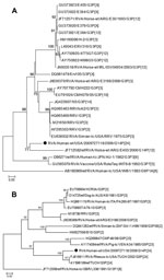 Thumbnail of Genetic relationships of partial viral protein 7 (A) and viral protein 4 (B) nucleotide sequences for novel rotavirus strain (black dot) isolated from 36-month-old child with diarrhea compared with representatives of known equine, simian, and human rotavirus genotypes. Evolutionary relationships and distances were inferred by using the maximum-likelihood method in PhyML 3.0 (13). Numbers next to nodes are approximate likelihood-ratio test values calculated by PhyML. Rotavirus strain