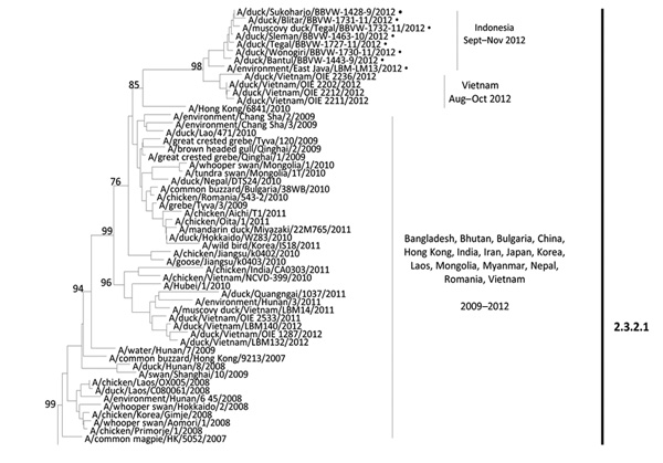 Partial phylogenetic tree of influenza A(H5N1) hemagglutinin (HA) gene sequences. The phylogenetic tree was generated in MEGA version 4 (www.megasoftware.net), using neighbor-joining analysis with 1,000 bootstrap replicates and the Kimura 2-parameter model. Viruses characterized in this study are indicated with a dot. The HA tree was rooted to A/goose/Guangdong/1/1996.