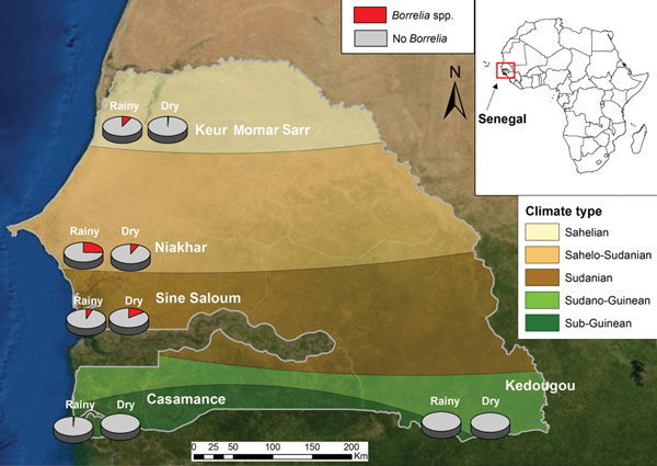 Incidence of tick-borne relapsing fever at study sites, according to season, Senegal, June 2010–October 2011. Map reproduced from Bing Maps (http://www.bing.com/maps/). 