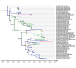 Thumbnail of Maximum clade credibility tree for influenza A virus N9 subtype genetic lineages in Eurasia. Values along branches are posterior probability values &gt;0.8. Gray bars indicate the 95% highest posterior density for times of the most recent common ancestors. Blue indicates viruses isolated in Asia; green indicates viruses isolated in Europe; purple indicates  viruses isolated in Oceania; orange indicates viruses isolated in Africa (details on locations and associated posterior probabi