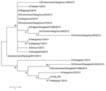 Thumbnail of Phylogenetic tree of the influenza A (H7N9) viruses isolated in China in 2013, based on the neuraminidase gene segment. Scale bar indicates nucleotide differences per unit length.