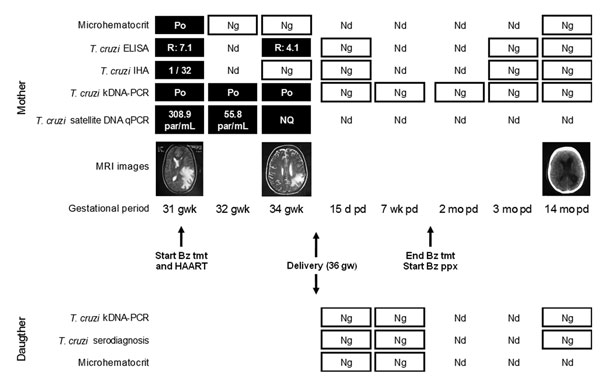 Diagnosis, treatment, and prophylaxis monitoring of Trypanosoma cruzi infection in a pregnant woman and her daughter. The mother, who had chagasic encephalitis and AIDS, was treated with benznidazole (Bz). Po, positive; Ng, negative;  Nd, not determined; results of ELISA were considered positive when R was &gt;1.2);  IHA, indirect hemagglutination assay (IHA was considered positive when titers were &gt;16); kDNA-PCR, kinetoplast DNA-PCR; qPCR, quantitative PCR (dynamic range of detection: 1–105 