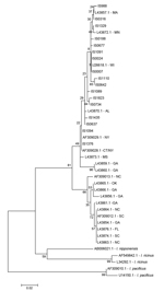 Thumbnail of Maximum-likelihood phylogenetic reconstruction of Ixodes scapularis lineages based on 16S rRNA gene sequences using Tamura 3-parameter model (35). All samples beginning with IS were collected during this study; reference sequence GenBank accession numbers are indicated, as were sampling locations (2-letter state abbreviation). The clade containing samples collected in GA, FL, NC, OK, and SC is known as the Southern clade (sensu Norris et al. [20]); the clade containing all samples f
