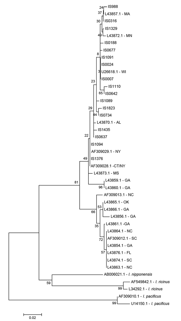 Maximum-likelihood phylogenetic reconstruction of Ixodes scapularis lineages based on 16S rRNA gene sequences using Tamura 3-parameter model (35). All samples beginning with IS were collected during this study; reference sequence GenBank accession numbers are indicated, as were sampling locations (2-letter state abbreviation). The clade containing samples collected in GA, FL, NC, OK, and SC is known as the Southern clade (sensu Norris et al. [20]); the clade containing all samples from this stud