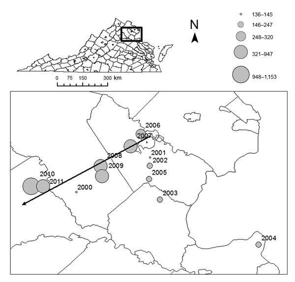 Centroids of annual incidence, by county, Virginia, 2000–2011. The size of each circle represents the annual number of cases reported by the Virginia Department of Health and is proportional to annual incidence (cases/100,000 population). Black arrow represents the mean linear direction of annual movement among centroids during 2006–2011 (these years indicate the recent dramatic increase in Lyme disease incidence in Virginia).