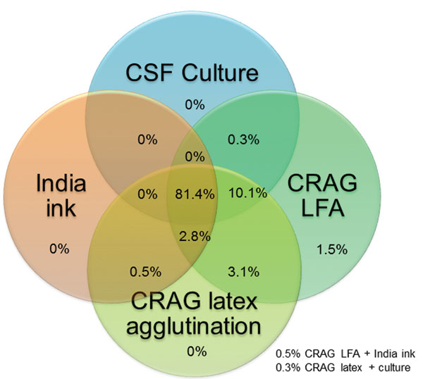 crypto antigen csf