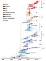 Thumbnail of Estimated genealogy of 3,365 highly pathogenic avian influenza A(H5N1) viruses sampled during 1996–2012. The maximum a posteriori tree was estimated by using Migrate version 3.3.0 (21,22). Each tip represents a virus sequence. Colors indicate the sampling region, either actual (tips) or estimated (branches).