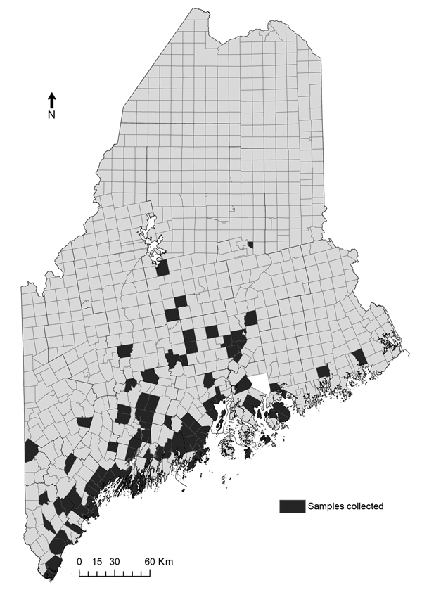 Distribution of towns sampled for questing adult Ixodes scapularis ticks, Maine, 1995–2011.