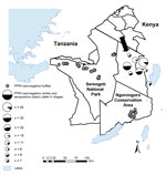Thumbnail of Areas in northwestern Tanzania where seroprevalence of antibodies to peste des petits ruminants virus (PPRV) was studied in cattle and buffalo. Cattle were sampled in 2011; all had been alive during a 2008 PPRV outbreak among small ruminants. Arrow shows location of 1 village affected during the 2008 outbreak (7). Buffalo were sampled during 2010–2012 in Serengeti National Park and Ngorongoro Conservation Area; the locations of PPRV-seronegative buffalo are shown.