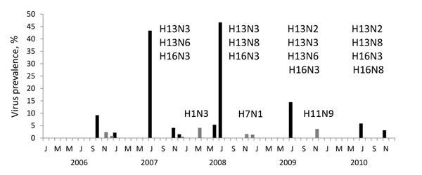 Avian influenza virus prevalence among 7,511 black-headed gulls, the Netherlands, 2006–2010. Cloacal and oropharyngeal samples were collected once from each gull for virus detection. Influenza virus subtypes detected are shown above virus positives. Bars indicate virus prevalence (No. PCR-positive samples/no. gulls sampled per month). Black bars represent gulls in their first year (FY) of life, comprising nestling and fledgling stages; gray bars represent after-first year (AFY) gulls.