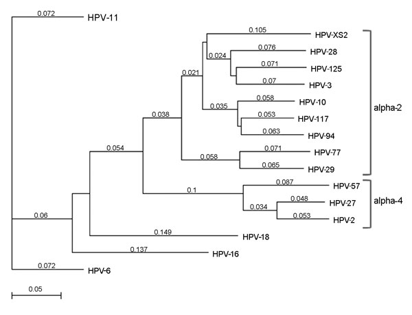 Figure 2 Resolution of Novel Human Papillomavirus