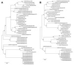 Thumbnail of Phylogenetic trees for the medium (M) segments (680 nt) (A) and small (S) segments (531 nt) (B) of 6 Rift Valley fever virus isolates from southern Mauritania, 2012 (underlined), showing relationships among strains isolated from different localities and countries. The strains from 2012 grouped with strains isolated in northern Mauritania in 2010, which suggests re-emergence from an enzootic focus. GenBank accession numbers are KF648851–KF648856 for the M segments and KF648857–KF6488