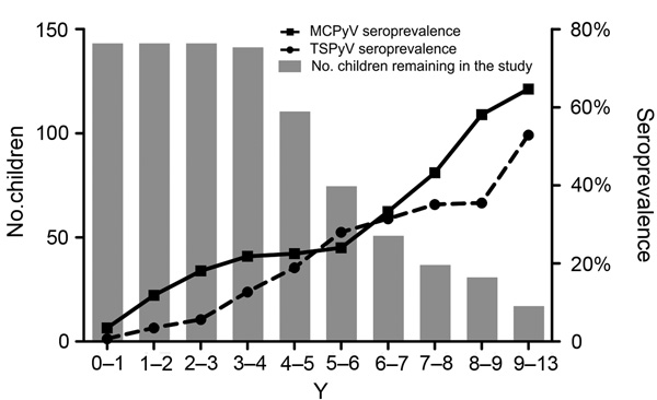 Seroprevalence related to polyomavirus primary infections in children in Finland during follow-up, January 2011–July 2013. Seroprevalence was calculated by the formula: Seroprevalence = (no. seropositive children remaining in the study at each age category) × 100.