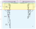 Thumbnail of Comparison of Salmonella enterica serotype Enteritidis phylogenies inferred from Illumina data and combined data of Illumina (San Diego, CA, USA) and Roche 454 (Indianapolis, IN, USA). The tree on the right incudes 80 Illumina sequenced isolates and the reference genome (PT4). The tree on the left includes both the 80 Illumina and the 44 454 sequenced isolates in addition to the reference. Isolates were numbered (online Technical Appendix Table 1, http://wwwnc.cdc.gov/EID/article/20