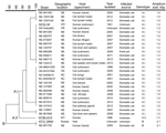 Thumbnail of Molecular genotyping of Francisella tularensis isolates obtained from infected cats or humans bitten by an infected cat, United States, 1998–2012, Genotyping was performed by using pulsed-field gel electrophoresis (PFGE) and the PCR-based differential insertion sequence amplification (DISA) assay. A dendrogram of PFGE patterns obtained with PmeI-digested F. tularensis isolates is shown on the left; the scale bar at the top indicates distance in relative units. The genotype-specific 