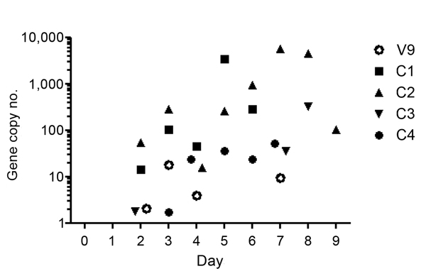 Scatter plot showing quantitation of the Hendra virus N gene in nasal swab samples from 1 vaccinated horse (V9) and 4 control horses (C1–C4); controls were challenged but not vaccinated. Days represent days after challenge.