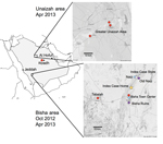 Thumbnail of Bat sampling sites and locations of home and workplace of index case-patient with Middle East respiratory syndrome, Bisha, Saudi Arabia.