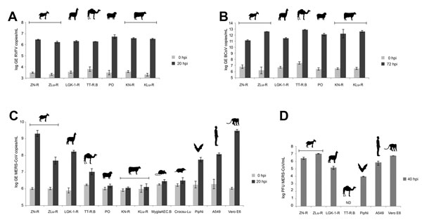 Analysis of the replication of Rift Valley fever virus (RVFV) clone 13 (A), bovine coronavirus (BCoV) (B), and Middle East respiratory syndrome coronavirus (MERS-CoV) (C) and of the production of infectious MERS-CoV particles (D) in cell lines derived from livestock and peridomestic small mammals on the Arabian Peninsula. Cell lines of human, bat, and primate origin were used as controls. Replication levels for each virus used are given as log of the genome equivalents (GEs) (A–C) or as plaque-f