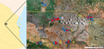 Thumbnail of Study villages and location of malaria cases at baseline, Tanzania, January 12–July 21, 2009. Study site included 8 rural villages in central Tanzania, Dodoma Province. Four azithromycin (AZ) treatment villages in southeastern Tanzania are indicated by yellow numbers 1, 3, 4, and 6. Four nearby control villages in northwestern Tanzania are indicated by white numbers 2, 5, 7, and 8. The background map was extracted from Google Earth (Google, Mountain View, CA, USA). Households are in