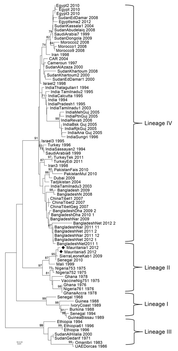 Phylogenetic tree based on the nucleoprotein gene of peste des petits ruminants viruses identified in Mauritania (black diamonds) and selected comparison sequences from GenBank. The neighbor-joining method was used for phylogenetic analysis; evolutionary distances were computed by using the Tamura 3-parameter method and a gamma distribution parameter with a value of 4 (9). CAR, Central African Republic; Nig, Nigeria; UAE, United Arab Emirates. Scale bar indicates nucleotide substitutions per sit