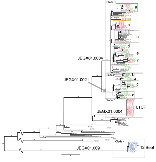 Maximum-likelihood tree of population structure of Salmonella enterica serovar Enteritidis isolates obtained in New York and neighboring states, USA. The tree was inferred by using a general time-reversible model with a gamma distribution, which was inferred to be the best fit model by the maximum-likelihood method implemented in MEGA 5.1 (22). Values on branches are bootstrap values based on 150 bootstrap replicates. Pulsed-field gel electrophoresis (PFGE) types are indicated on branches. Label