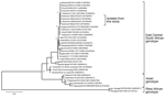 Thumbnail of Phylogenetic tree constructed on the basis of whole E1 gene sequences of chikungunya viruses, showing location of 4 isolates obtained from children in Myanmar within the East Central South African genotype. Representative strains of each genotype obtained from GenBank are named by country of origin, strain name, year of isolation, and accession number (in parentheses). Bootstrap values are indicated at branch nodes. Scale bar indicates nucleotide substitutions per site.