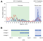 Thumbnail of A) Number of persons positive for respiratory syncytial virus (RSV) genotype ON1 during 2 infection waves, Kilifi, Kenya, 2012. Blue line indicates cases of RSV group A infection; red line indicates cases of RSV group B infection; bars indicate number of ON1 case-patients admitted to Kilifi District Hospital during January 1–December 31, 2012. The first ON1 infection wave (green shading) overlapped with a 2011–12 RSV epidemic, and the second ON1 infection wave (blue shading) overlap