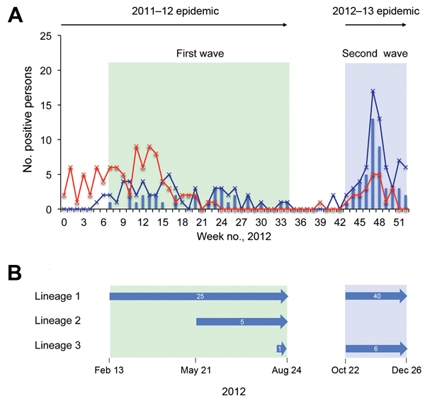 A) Number of persons positive for respiratory syncytial virus (RSV) genotype ON1 during 2 infection waves, Kilifi, Kenya, 2012. Blue line indicates cases of RSV group A infection; red line indicates cases of RSV group B infection; bars indicate number of ON1 case-patients admitted to Kilifi District Hospital during January 1–December 31, 2012. The first ON1 infection wave (green shading) overlapped with a 2011–12 RSV epidemic, and the second ON1 infection wave (blue shading) overlapped with a 20