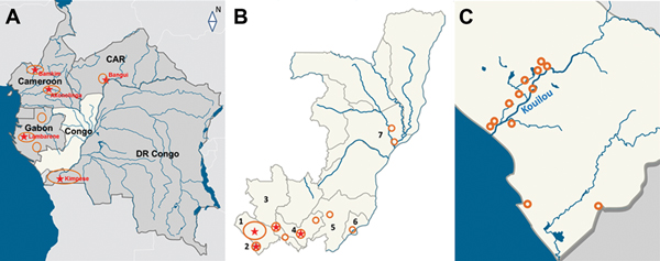 Buruli ulcer–endemic areas in the Republic of the Congo (RC) and neighboring countries. A) Buruli ulcer cases have been reported in all countries neighboring RC. CAR, Central African Republic; DR Congo, Democratic Republic of the Congo. B) RC (representing the white area in panel A). The numbers indicate the 7 departments or communes (of 12 total) where PCR-positive cases of Buruli ulcer disease were diagnosed. 1, Kouilou Department; 2 Pointe Noire Commune; 3, Niari Department; 4, Bouenza Depart