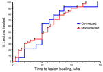 Thumbnail of Survival analysis curve of cumulative healing for patients with Mycobacterium ulcerans infection who were co-infected with Mansonella perstans nematodes compared with those who had M. ulcerans monoinfection, Ghana, August 2010–December 2012. No difference in cumulative healing was found between the 2 groups (p = 0.93 by log-rank test).