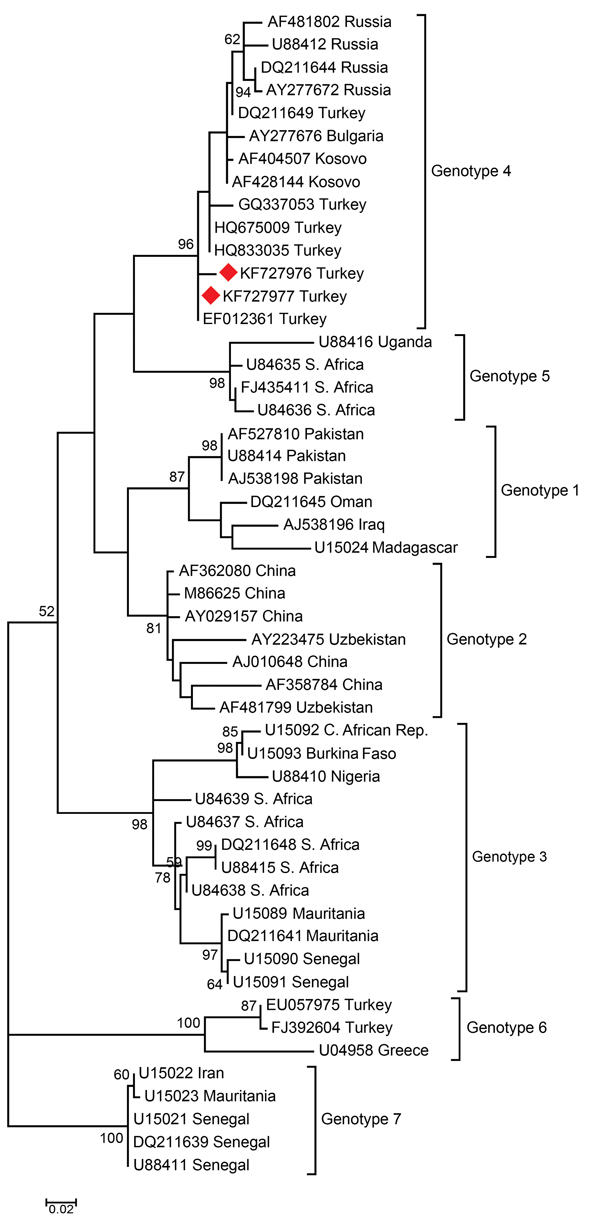 Phylogenetic tree of nucleotide sequences of CCHFV. Phylogenetic tree based on the 260 bp of the small segment of the CCHFV genome. The multiple sequence alignment was obtained by using MEGA 5.1 (http://www.megasoftware.net), and the phylogenetic tree was constructed by the maximum-likelihood method using 1,000 bootstrap replicates of the sequence data. The tree is drawn to scale with branch length in the same unit as those of the evolutionary distance used to infer the phylogenetic tree. The ph