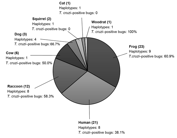 Vertebrate blood meal sources of Triatoma sanguisuga kissing bugs detected by 12S rDNA assay (10). The numbers of triatomines containing each vertebrate blood source are indicated in parenthesis. The numbers of haplotypes of each vertebrate source and the Trypanosoma cruzi infection prevalence in the triatomines containing this vertebrate blood source are indicated. 