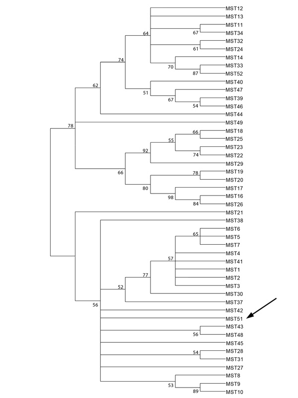 Neighbor-joining tree of Coxiella burnetii genotypes determined by multispacer sequence typing. Arrow indicates new genotype in Saudi Arabia.