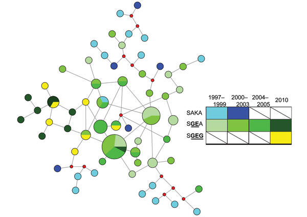 Genetic relatedness of Plasmodium falciparum dihydropteroate synthase (dhps) haplotypes from Malawi over time based on median-joining network of microsatellite profiles. Median joining network was calculated based on microsatellite profiles for 91 parasites with full genotype data. Colors indicate year and dhps haplotype, nodes are proportional to the number of parasites with that microsatellite profile, red nodes are hypothetical profiles inserted by the program to calculate a parsimonious netw