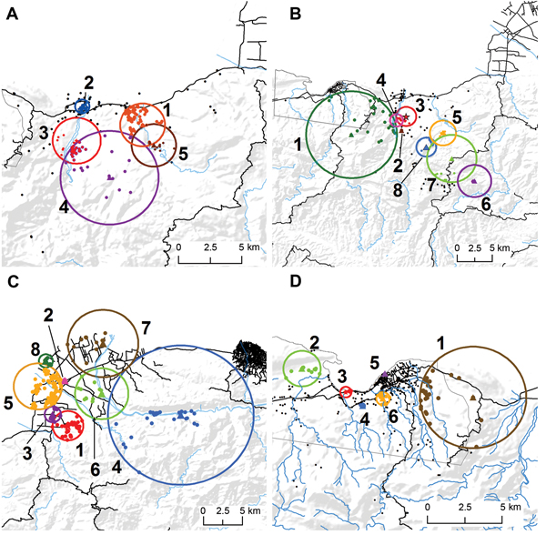 Space-time clusters of cholera in 4 communities in Haiti, 2011. A) Grand Goave, winter;  B) Grand Goave, summer; C) Leogane, summer; and D) Petit Goave, summer. Stars represent primary cluster centers and triangles, secondary cluster centers. Dots represent approximate locations of households within clusters. Clusters are numbered sequentially by order of date of occurrence.