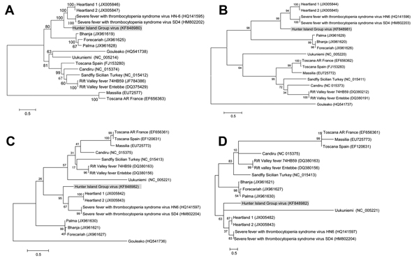 Phylogenetic trees of recently isolated bunyaviruses based on amino acid sequences of the polymerase protein (A) encoded by the large segment, the membrane glycoprotein polyprotein (B) encoded by the medium segment, and the nucleocapsid protein (C) and the nonstructural protein (D) encoded by the small segment of selected bunyaviruses. Maximum-likelihood trees were constructed by using MEGA5 (http://www.megasoftware.net/) with bootstrapping at 1,000 replicates. GenBank accession numbers are with