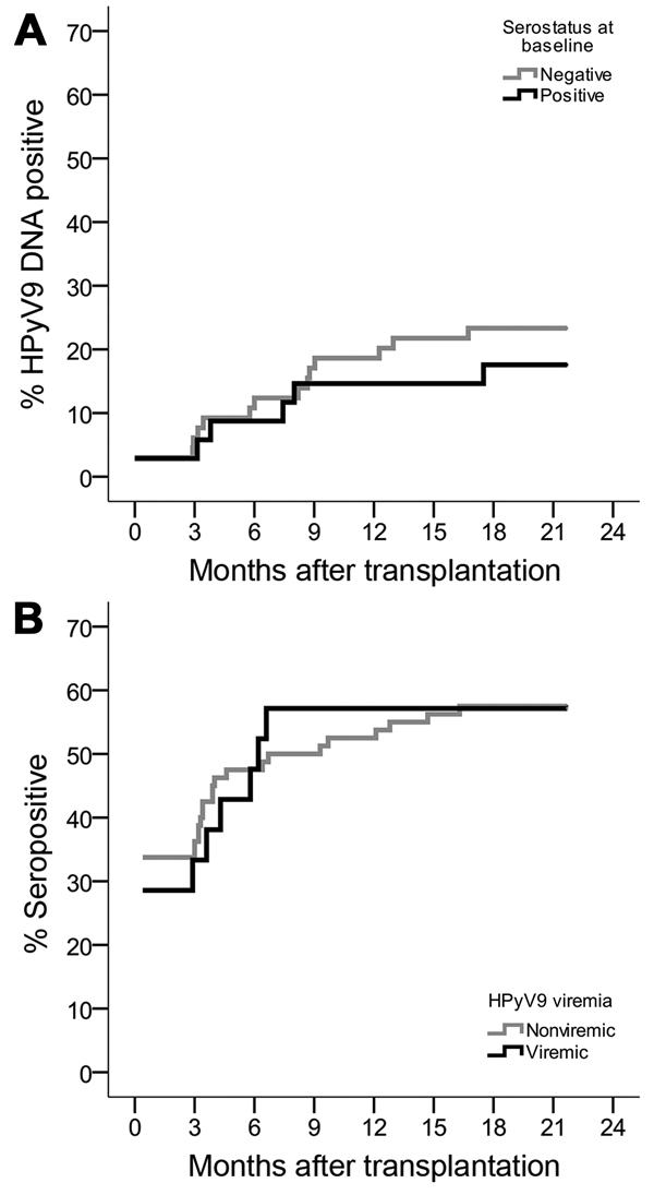 Kaplan-Meier curves showing proportional increase of human polyomavirus 9 (HPyV9) DNA–positive and seropositive transplant patients during 12-month follow-up, the Netherlands. A) Cumulative HPyV9 DNA positivity (viremia) for transplant patients who were seronegative (gray) or seropositive (black) at baseline. B) Cumulative HPyV9 seropositivity for transplant patients who were nonviremic (gray) or viremic (black) at baseline.