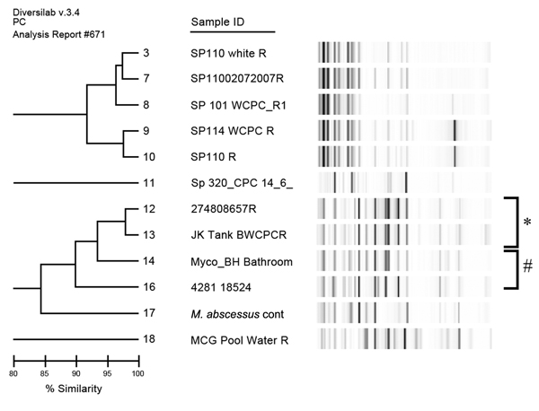 Repetitive sequence–based PCR dendrogram comparing strain types of 2 Mycobacterium abscessus isolates associated with laparoscopic band infections, with a laboratory control strain, and 9 other environmental isolates, Australia. *Isolate 12 (patient PB) is indistinguishable from strain 13, isolated from a domestic rainwater tank. #Strain 16 (patient MC) shares 90% similarity with an epidemiologically unrelated domestic bathroom water isolate.