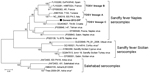 Thumbnail of Neighboring-joining tree constructed on the basis of a 202-bp fragment of the large RNA segment of sandfly-borne phleboviruses. Black circle indicates Toscana virus strain detected in this study in a patient in Greece; asterisks (*) indicate phleboviruses detected in Greece. The percentages of replicate trees in which the associated taxa clustered together in the bootstrap test (1,000 replicates) are shown next to the branches. Evolutionary analyses were conducted in MEGA5 (http://w