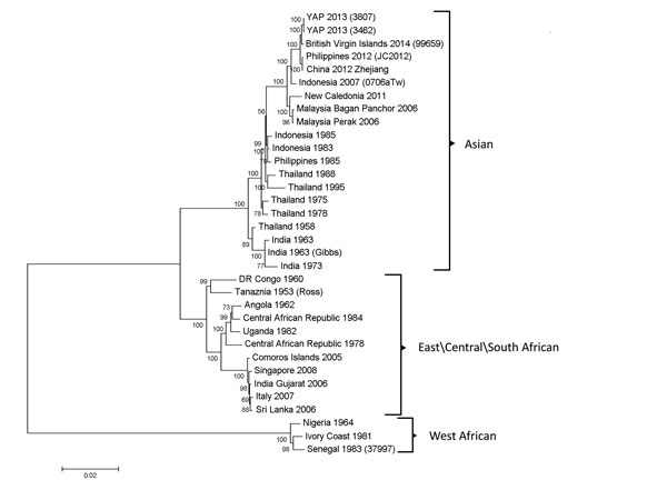 Phylogenetic tree derived by neighbor-joining methods (1,000 bootstrap replications) using complete genome sequences of chikungunya viruses obtained from GenBank. Scale bar represents the number of nucleotide substitutions per site. Genotypes are indicated on the right. GenBank accession numbers for viruses used for construction of the tree follow: Yap 2013–3807 (KJ451622), Yap 2013–3462 (KJ451623), British Virgin Islands-99659 (KJ451624), Philippines 2012-JC2012 (KC488650), China 2012 Zhejiang 