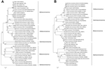 Thumbnail of Phylogenetic analyses of spike protein (A) and nucleocapsid protein (B) of virus strains of 4 coronavirus genera (Alphacoronavirus, Betacoronavirus, Gammacoronavirus, and Deltacoronavirus), including the porcine coronavirus HKU15 OH1987 strain (indicated with triangle). The dendrogram was constructed by using the neighbor-joining method in the MEGA software package, version 6.05 (http://www.megasoftware.net/). Bootstrap resampling (1,000 replications) was performed, and bootstrap va