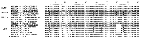 Amino acid sequence alignment of the neuraminidase (NA) stalk region. The dark circle indicates the sequence characterized in this study. The abbreviations of the sequence names are as follows: ns, northern shoveler; wf, wild waterfowl; Ck, Chicken; Sb, shorebird; mal, mallard; wb, wild bird; HK, Hong Kong; JX, Jiangxi; ZJ, Zhejiang; SH, Shanghai.